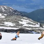 아파트 Trolltunga 오다